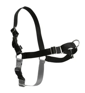 Easy Walk No-Pull Harness with Leash