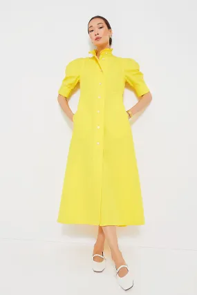 Yellow Venetia Dress